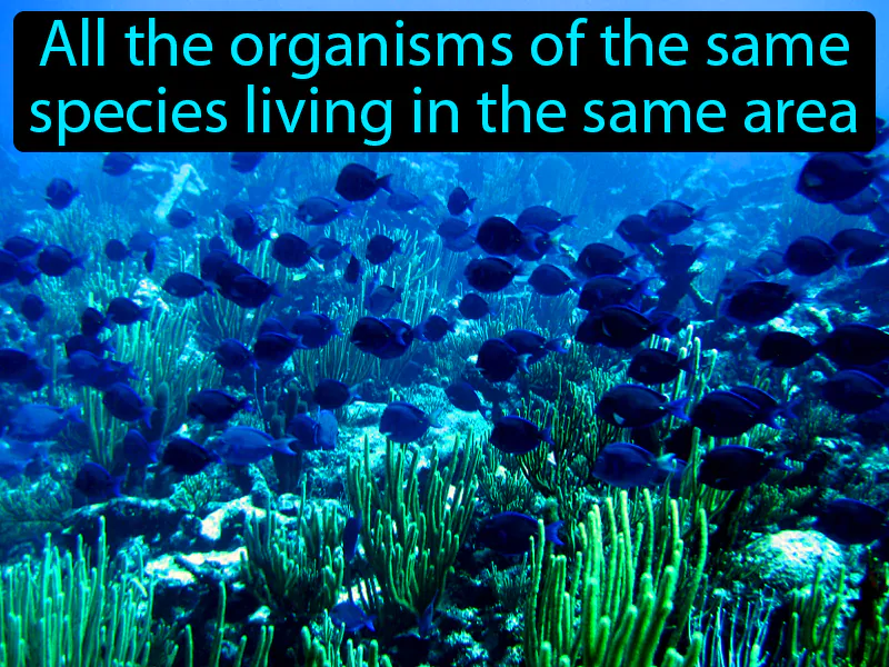 Population Definition