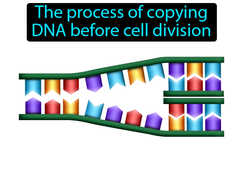 Replication Definition