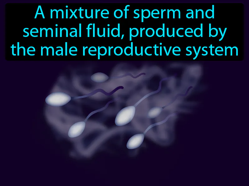 Semen Definition