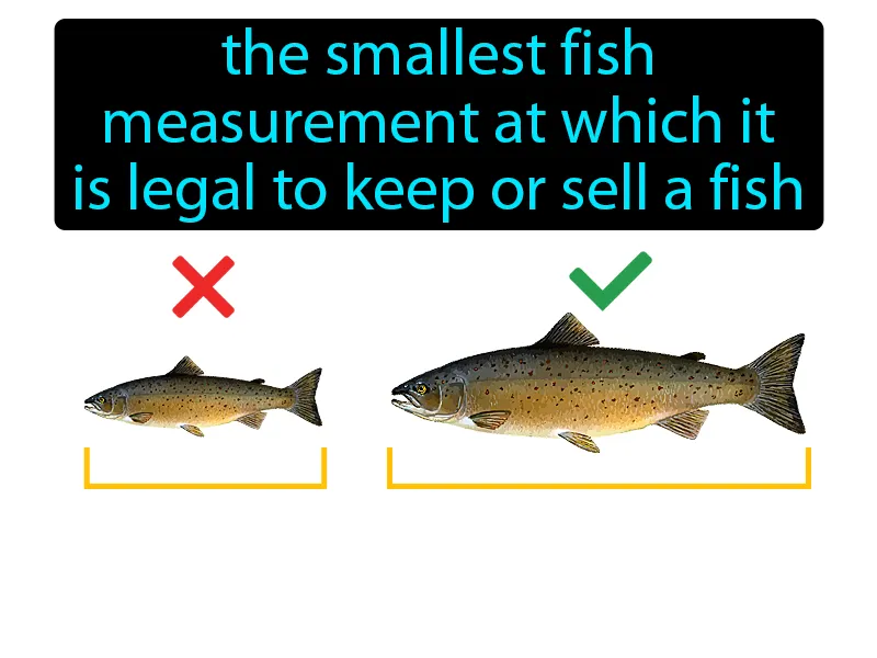 Size Limit Definition