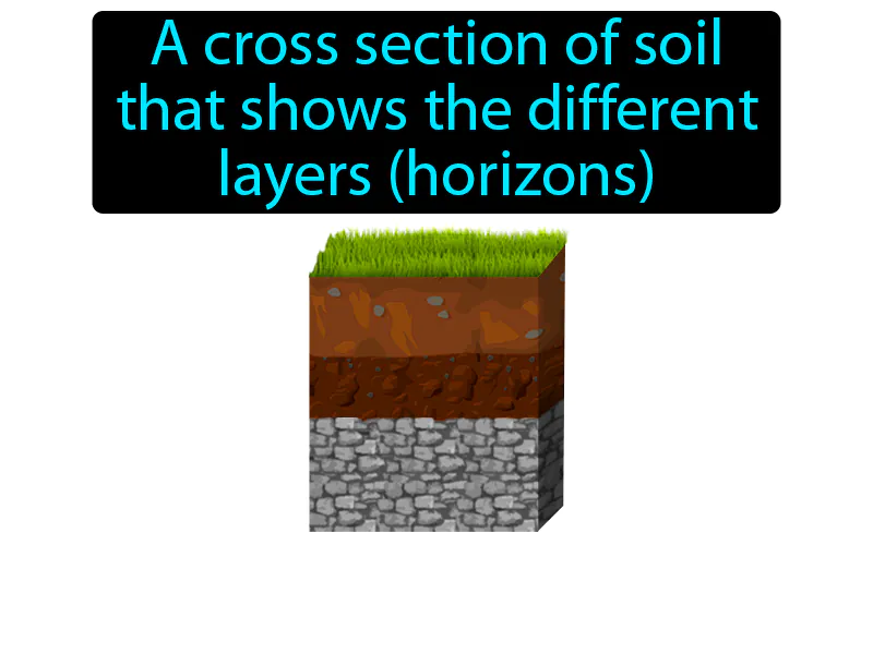 Soil Profile Definition Soil Profile Definition