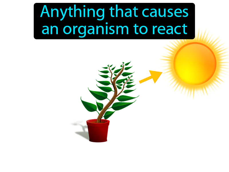 Stimulus Definition