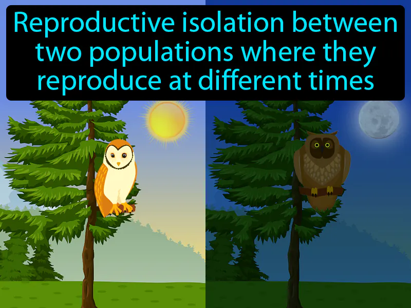 Temporal Isolation Definition Temporal Isolation Definition