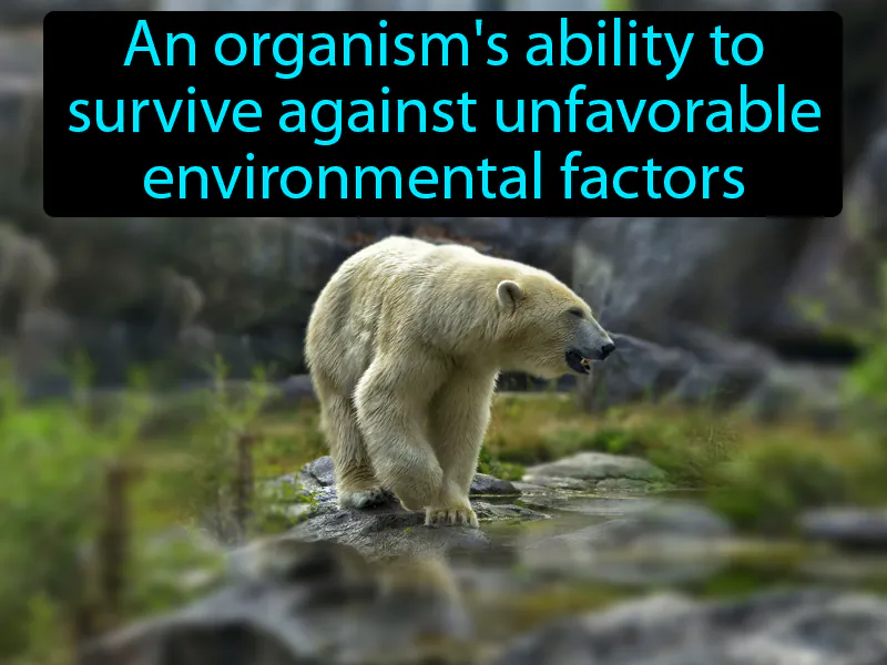 Tolerance Definition