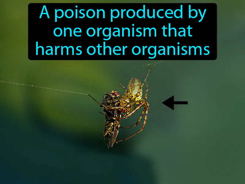 Toxin Definition Toxin Definition