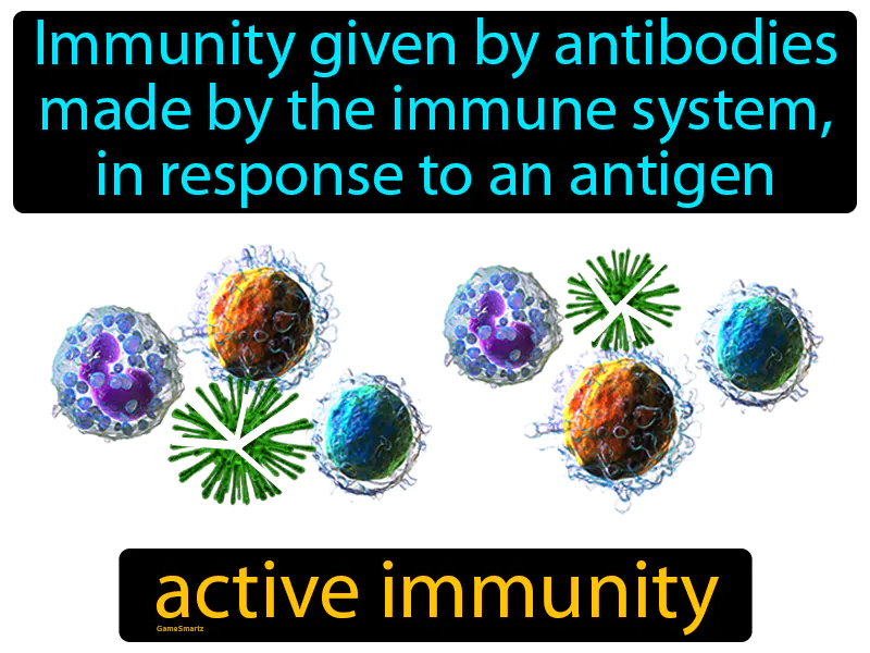 Active Immunity Definition Active Immunity Definition