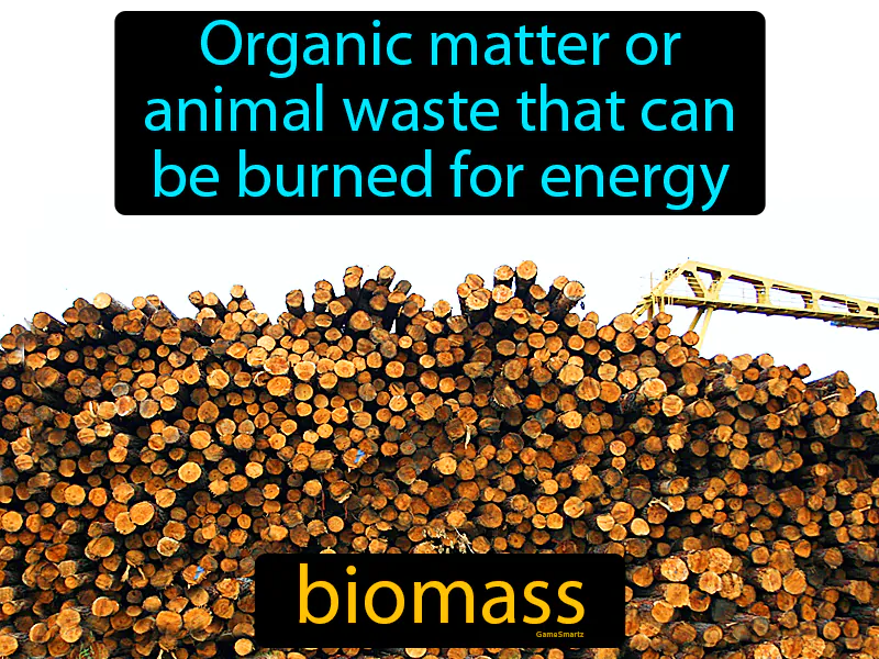 Biomass Definition Biomass Definition