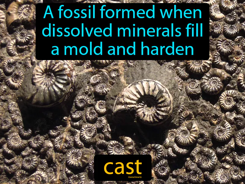 Cast Definition Cast Definition