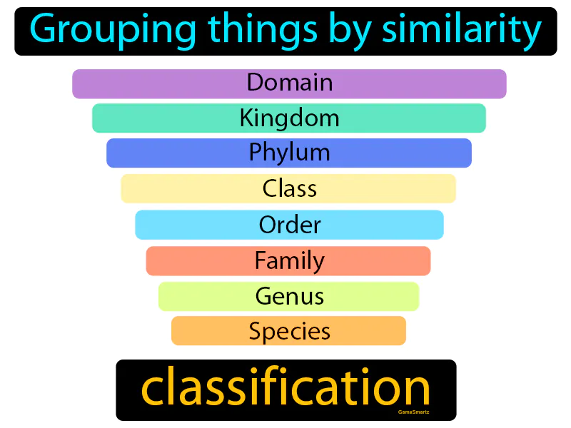 Classification Definition Classification Definition