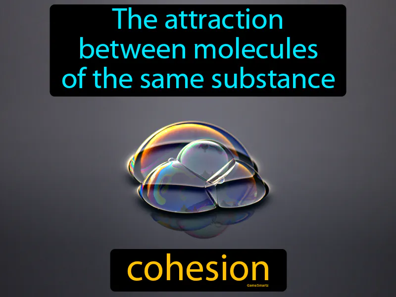 Cohesion Definition Cohesion Definition