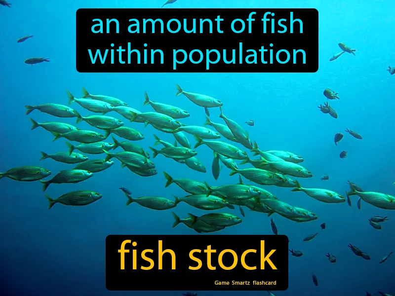 Fish Stock Definition Fish Stock Definition