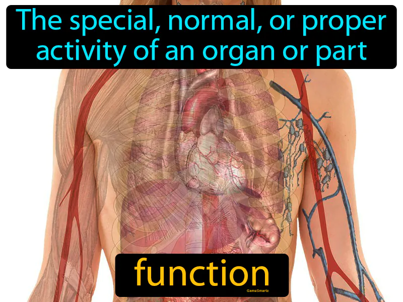 Function Definition Function Definition