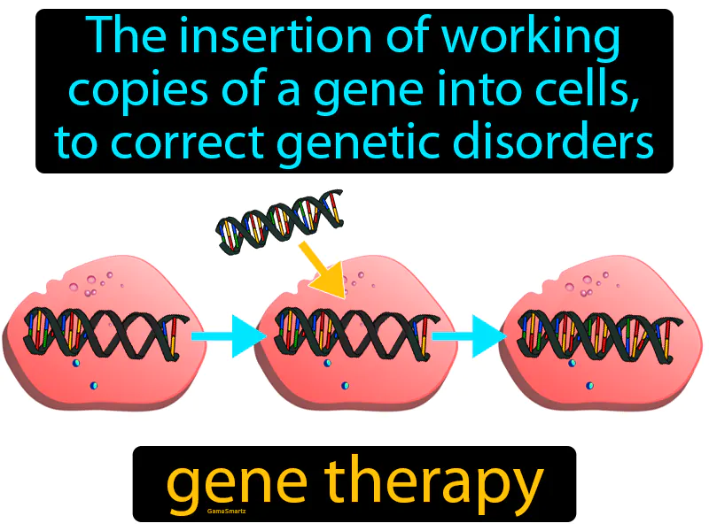 Gene Therapy Definition Gene Therapy Definition
