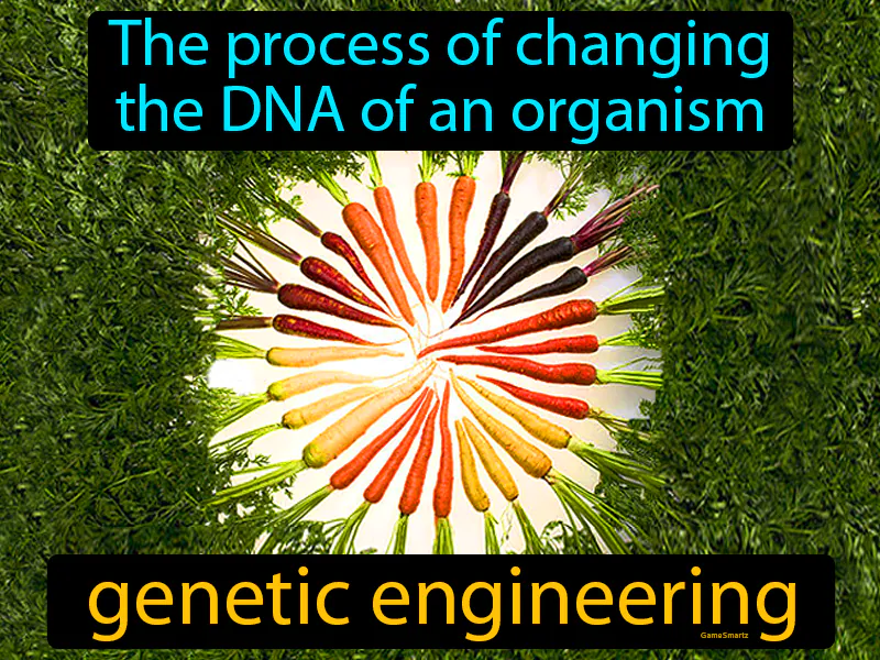 Genetic Engineering Definition Genetic Engineering Definition
