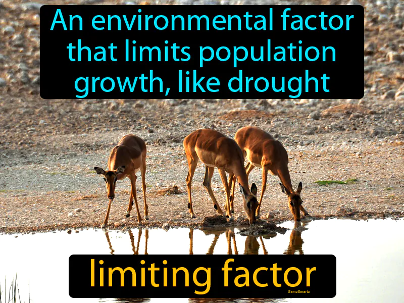 Limiting Factor Definition Limiting Factor Definition