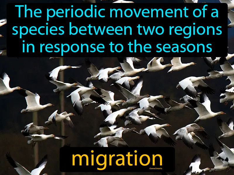 Migration Definition Migration Definition