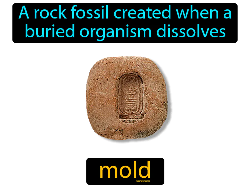 Mold Definition Mold Definition
