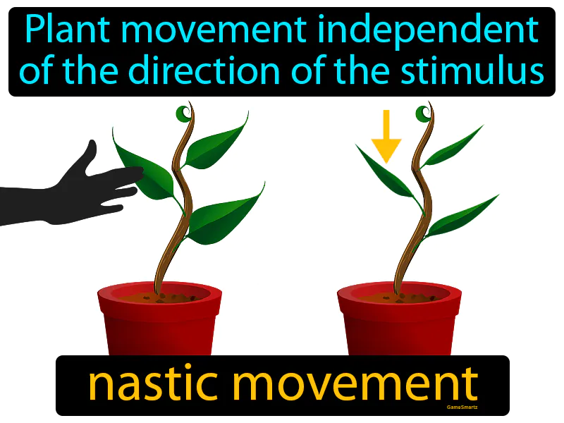 Nastic Movement Definition Nastic Movement Definition