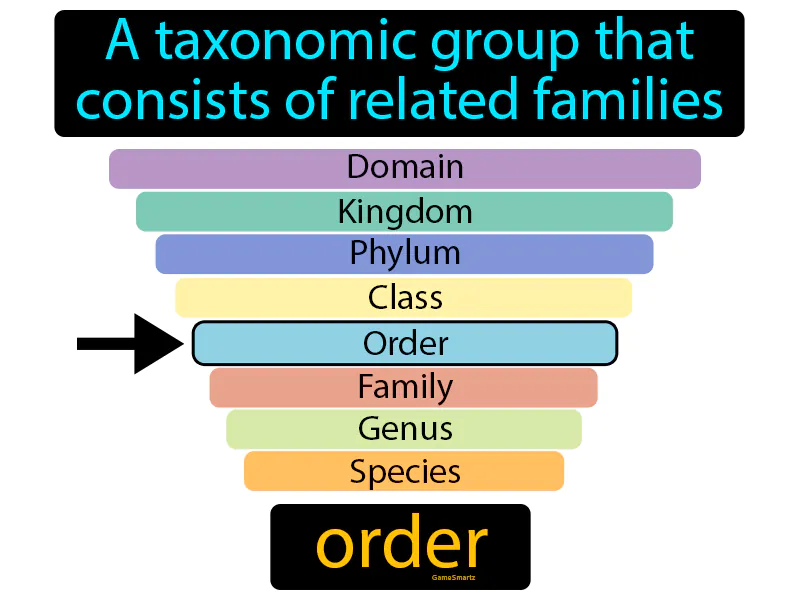 Order Definition Order Definition