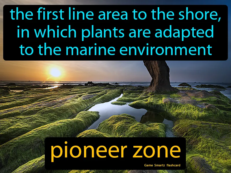 Pioneer Zone Definition Pioneer Zone Definition