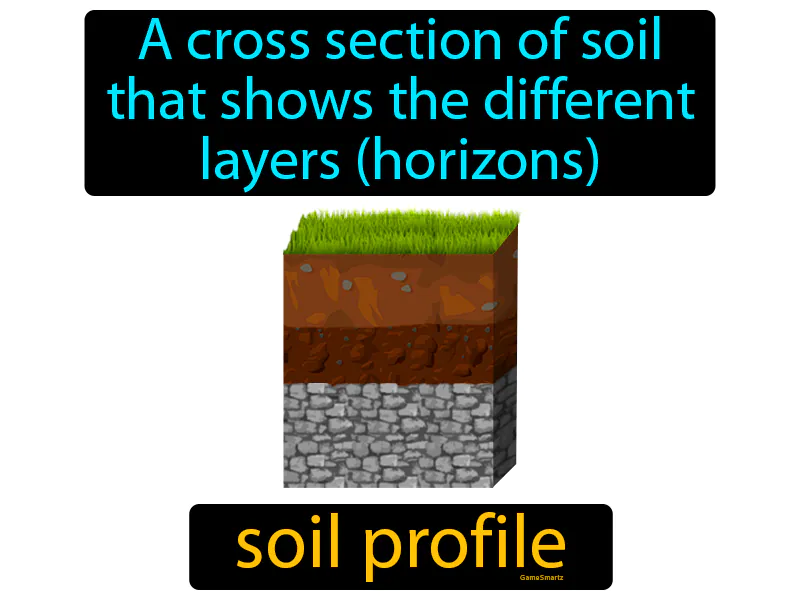 Soil Profile Definition Soil Profile Definition