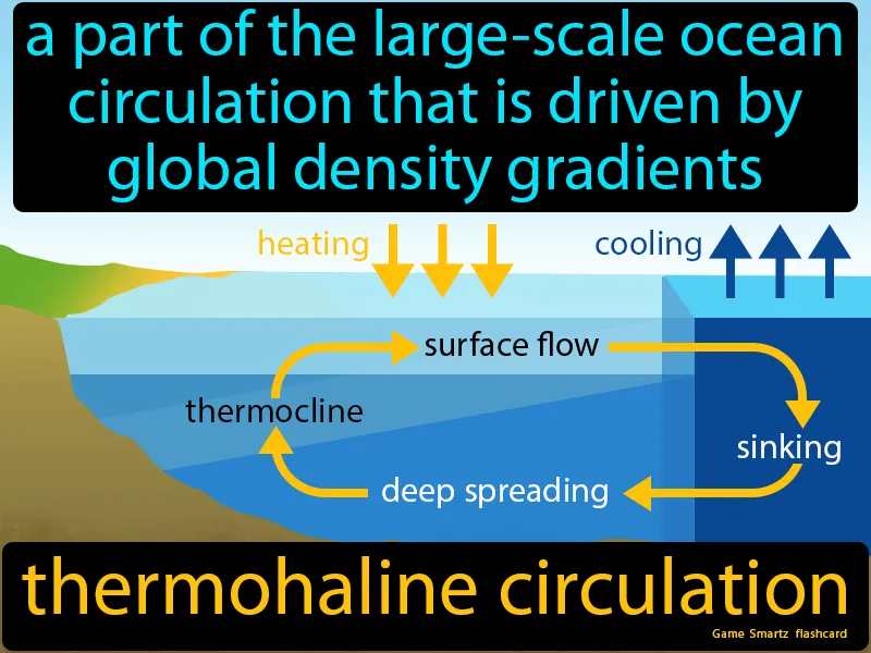 Thermohaline Circulation Definition Thermohaline Circulation Definition