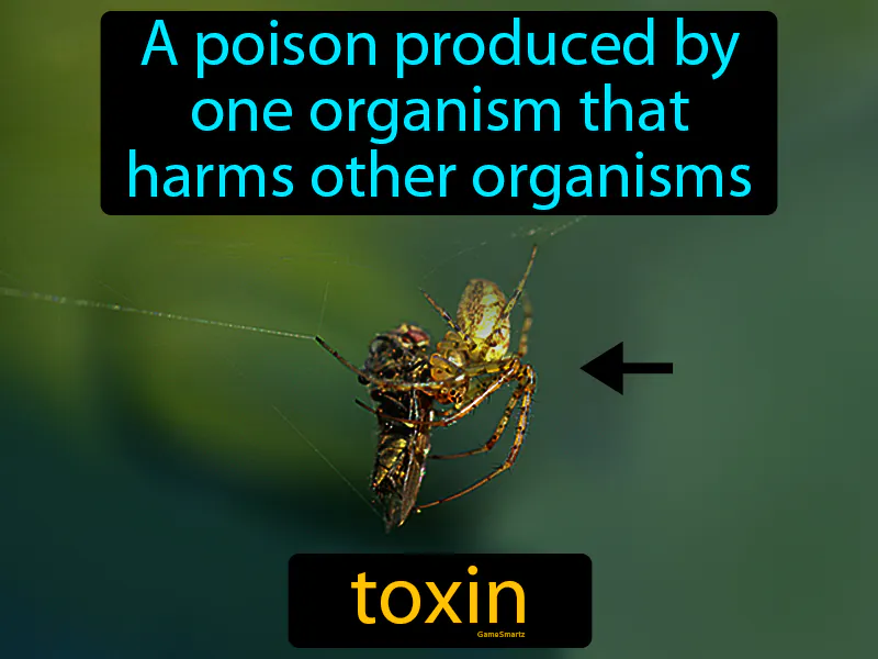 Toxin Definition Toxin Definition