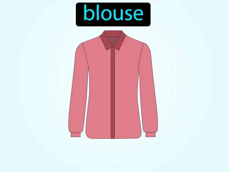 La Blusa Definition
