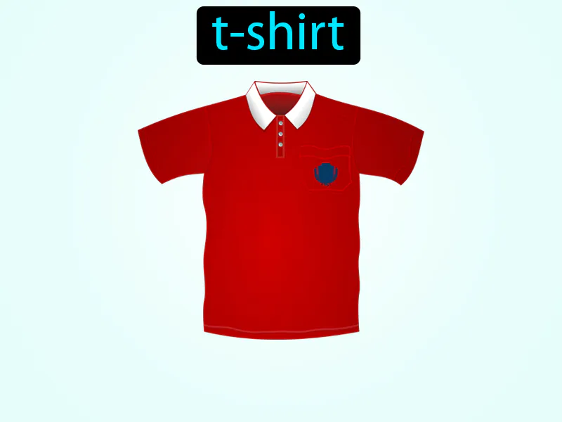 La Camisa Definition