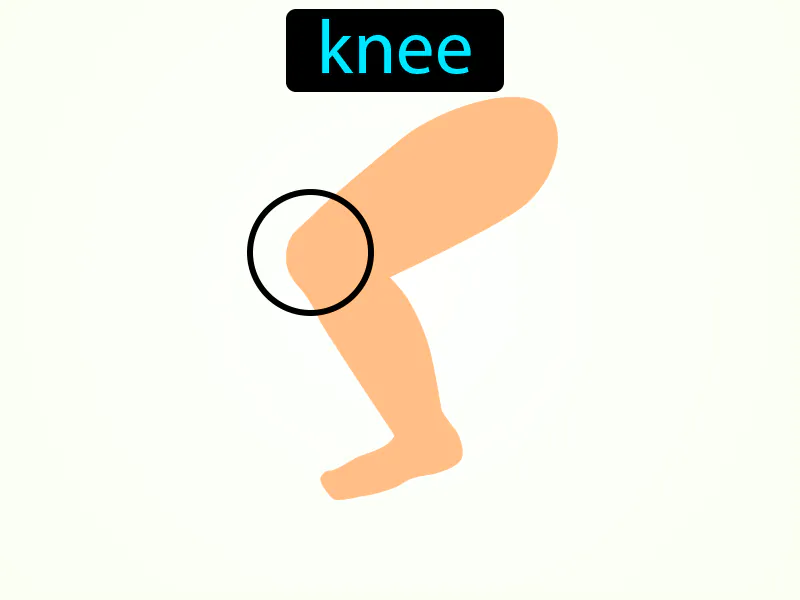 La Rodilla Definition La Rodilla Definition