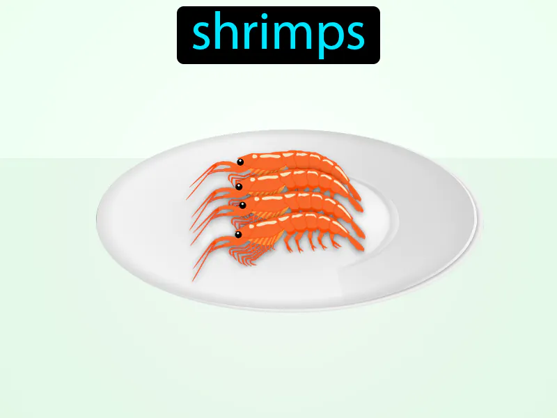 Los Camarones Definition